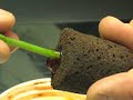 Horizen Hydroponics - How to Clone Horizen Hydroponics - How to Clone
