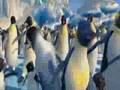 Assistir ao v�deo