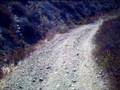 videos de Will Rogers Pt. 1 The Upper Part