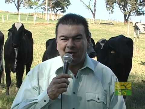 Semillas y Senderos Programa Especial desde Brasil - Ganado Girolando, Tilapias y Caña
