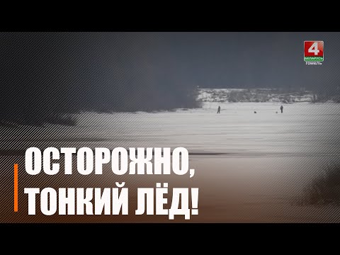 Безопасность превыше всего. ОСВОД просит не выходить на тонкий лёд видео