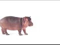Collection: Telus Commercials