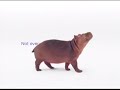 Telus Advertisement