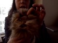 VID00287