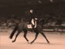 Horses - Infinity