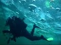 Immersione sotto il ghiaccio Orrido S. Anna Cannobio