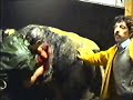 F21 geboorte kalf keizersnede ???????? ??????? 1993 1
