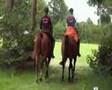 videos de Lits+Lauwers049 Juffer-Soeterwei02