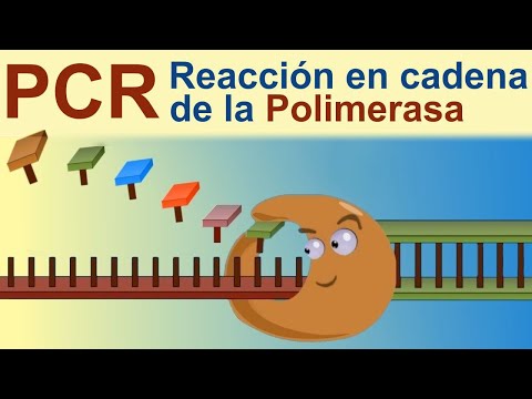Imagen de previsualización de YouTube