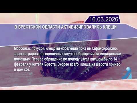 Новостная лента Телеканала Интекс 16.03.26.