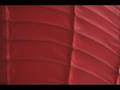 MOV03C.wmv