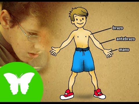 Imatge de previsualització de YouTube