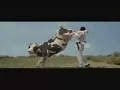 VIDEO DIVERTENTI-mucca matrix