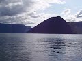 Nisesafari på sognefjorden Nisesafari på sognefjorden