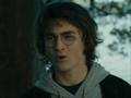 Harry, hermione and barty jnr. - starts with goodbye