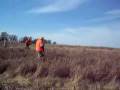 videos de hunting2006 030.mov