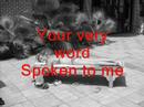 2006 ELCA Youth Gathering - SAntonio - Song (Air I Breathe)