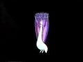 NBC PEACOCK - NETWORK ID - 1950s
