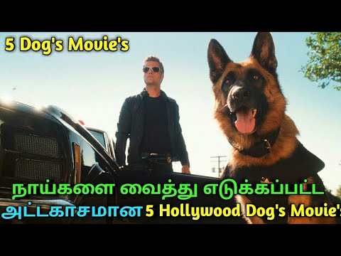 5 Hollywood Best Dogs Movies in tamil | jillunu oru kathu
