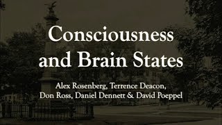 Consciousness and Brain States: Alex Rosenberg et al