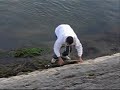 Brochet en Seine/big pike in Seine