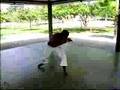 MEUS VIDEOS