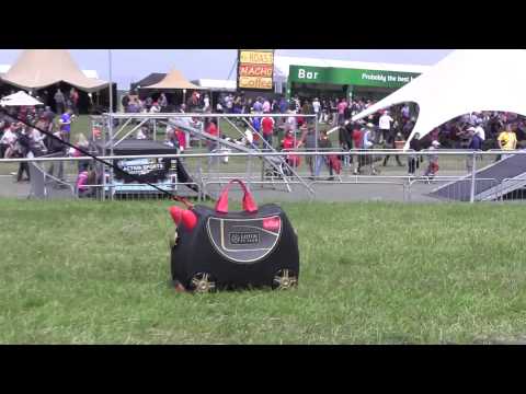 Lotus F1 Trunki at Silverstone British Grand Prix