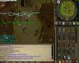 99 Ranged ~ Rockvialer