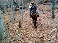 savanna 20091114 1218