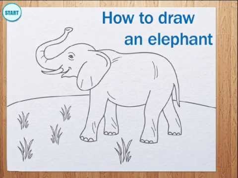 how to draw elephant