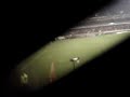 lens - marseille part3 by jerems-rclens