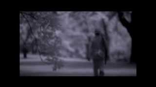 the HIATUS - Walking Like A Man（Music Video）