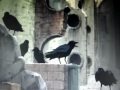 Wolfs Rain- We are Men