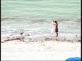 Heron stealing Bait.or? 2 Heron stealing Bait.or? 2