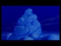 A Whole New World fandub