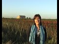 vídeo esquerra unida