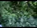 videos de Zwerver aant opgeile superdeluxe,.mp4