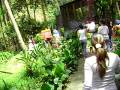 videos de MOV01833