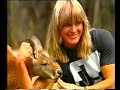 Cory Everson Cory Everson