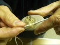 Fabrication de back leads