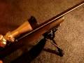 videos de My .22 Rifle