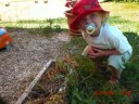 romain 2 ans romain 2 ans