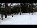 Video Selection
