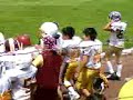 REDSKINS RABBITS 2008