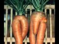 Funny fruits and vegetables