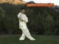 Tai Chi Form 42 Taiji