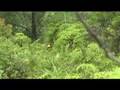 Maui Canyoneering -- Part 1 of 3
