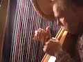 Harp Channel-Election Tune Countdown #22Original Compositio