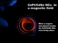 The effect of a magnetic field on nanocrystals