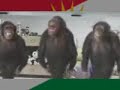 pkk halay orosbu apo abdullah ocalan serefsiz sexy orosbu apo gay gerilla fahise pkk 14 subat 1978 orosbu gunu murat karayilan pic sicak goruntuler liseli hot escinsel apoç  semmammi  biji serok ataturk sinirotesi operasyon pkk kamp kandil bomba tsk zap avasin öcalan apo orospu gay ibne turkiye kürt kurd mhp chp akp sehit cenaze  bu vatan bolunmez bu boyle biline bursaspor teksas galatasaray ultraslan besiktas çarşı fenerbahçe gfb unifb boys of hell kasimpasaspor apaciler karagumruk antalyaspor sozde kurdistan maldonado holosko ahmed barusso cassio lincoln alex roberto carlos delgado arda turan serdar ozkan emperyalizm maymun halay katliam pkk les kursat marsi turk'e kefen bicenin olumu korkunc olur turan soykırım genocide neo nazi racist germany teror terorist kurtlar vadisi pusu pars narkoteror gazi komedi dukkani avrupa yakasi sahan recep ivedik arog a.r.o.g tek turkiye mehter marsi hucum marsi osmanli nihal atsiz atsiz ata turkes mhp bozkurt rap karub dj pkk diss sagopa kajmer kolera kuvvet mira derin darbe ceza cartel killa hakan gekko karargah ne mutlu turk'um diyene plan yapmayin plan adana Afyon ankara antalya Bursa canakkale Denizli Edirne Elazığ Erzurum Eskişehir gaziantep giresun Gümüşhane Antakya Mersin İstanbul İzmir Kayseri kocaeli izmit Konya Malatya Sakarya adapazarı Samsun Sivas Sivas Trabzon Van zonguldak Aksaray burhan gaffur cem yılmaz KERKÜK KURTLAR VADİSİ TEROR ordu army turkish army abdullah ocalan armed forces kurdish kurdi kurmanci pkk hpg kadek apo milita gerilla serok biji devlet bahceli sınır otesi ırak talabani barzani kerkük kirkuk cevizkabuğu perincek güneydoğu dogu anadolu anatolia kurtuluş savaş ülkü ocak asala ararat da gizli orgut Türkiye Mason Şeytan Ayin Tapınaçılar Terör Gizli bekaa zeli kandil dag daği dağı abdullah öcalan Pkk Polat Alem dar Memati Güllü Abdülhey Aras Dağlı İran Kuzey Irak Ortadoğu Türkçü Bilinç Otağ türk Bozkurt Göktürk Turan Hun Asker Atatürk Vatan Bayrak Şehit Gazi Kut Kızıl Elma Atsız Ata avrupa yakası binbir gece şahan gogebakan Turk asker Turkish soldier Turkiye Turkey Armed Forces Navy Air Force Stars Military Fighting Warrior Turk land air forces helicopter Heli Attack Operations Super Cobra Skorsky Apache Comanche defense team commandos sat sas komando F16 TuAF HAF dogfight greek greece Hellenic air force Turkish Fighting Falcon Aegean Sea Ege denizi Gendarmerie Mountain Activities JOAK Commandos Gendarme Special Forces operasyon atak dag komandosu jandarma piyade ozel kahramanlar harp war savas baris gucu gücü power Mustafa Kemal ATA Ataturk Turkcu Turchia Turkei Turkey Tuerkei harbiye kara deniz hava harp silahlı akademi tugay tümen karakol mekanize zırhlı zirhli piyade ordu ordusu tatbikat leopar tank tankci tankçı harekat asia europe tsk Fighting Warrior türkçüler atsiz nihal ulkucu bozkurt Turkmeneli Turkman Erbil Tellafer iraqiyoon cyprus north savas armed forces silahlı kuvvetleri army metal pop rap hiphop music galatasaray besiktas fenerbahce
